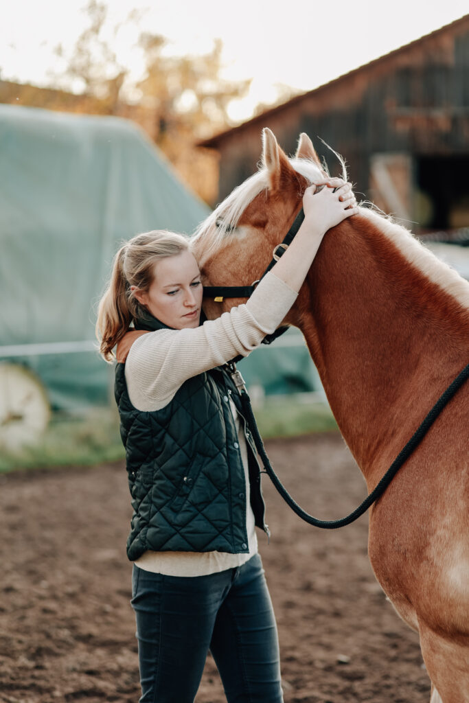 Osteopathische Behandlung am Pferd