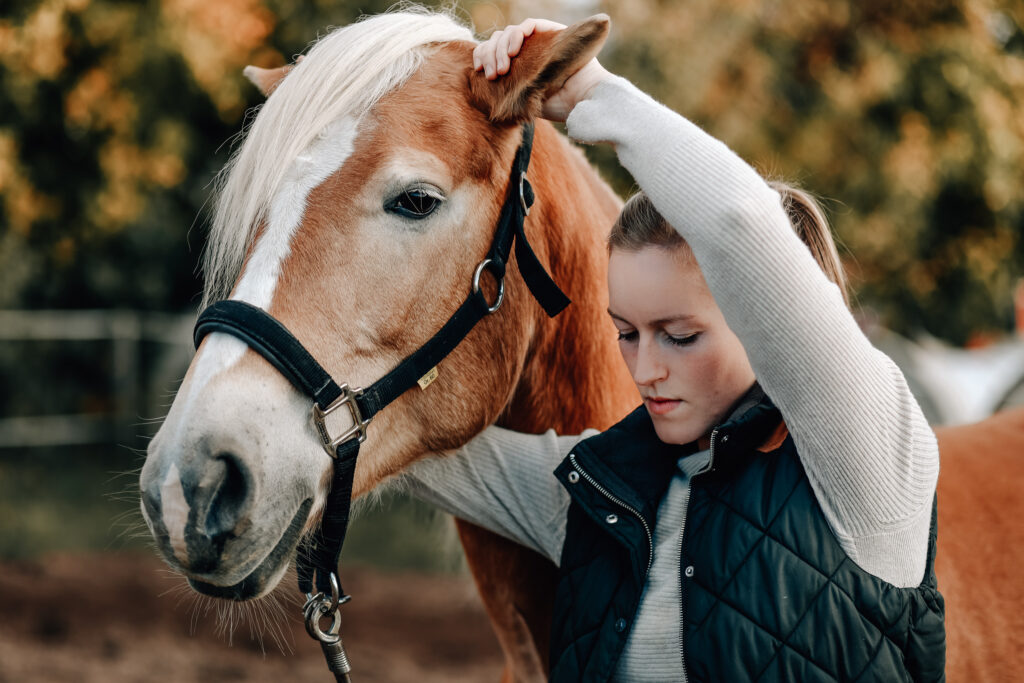 Osteopathische Behandlung am Pferd