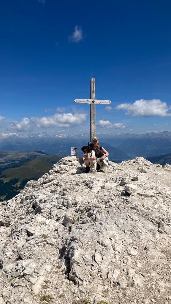 Berge Wandern Hund