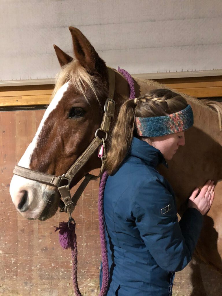 Osteopathische Behandlung am Pferd